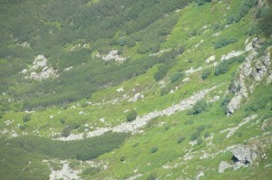 IMG_5944