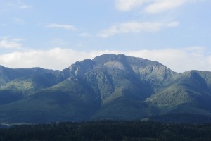 IMG_6003
